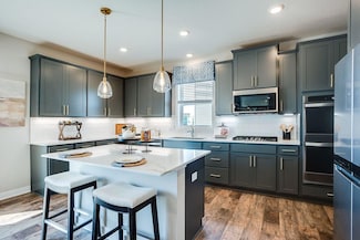 1483 Sophia Dr, Chaska, MN 55318