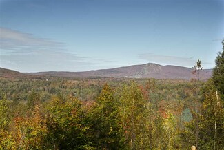 Lot 5/6 Garden Loop Rd Unit 5 & 6, Winhall, VT 05340