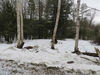 Roberts Rd, Winhall, VT 05340