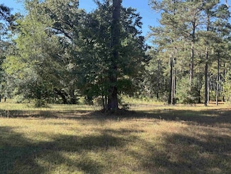 Lot 8A Lake Pisgah Dr, Tallahassee, FL 32309