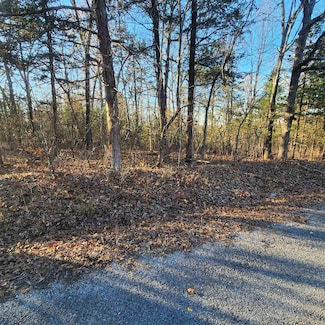 1505 Riverview Dr, Horseshoe Bend, AR 72512