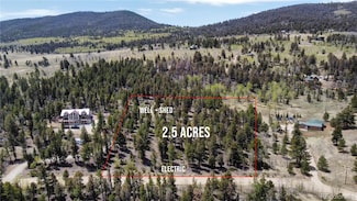 1667 Singletree Rd Unit 1266, Hartsel, CO 80449