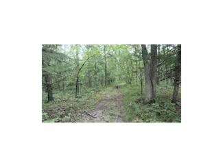 13817 Highway O, Grant City, MO 64456