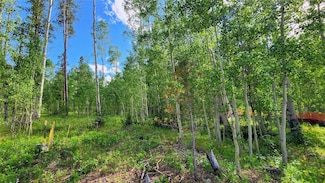 552 Temple Trail, Frisco, CO 80443