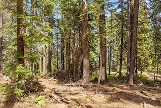 80 Arling Place Trial Unit 5A-14, Donnelly, ID 83615