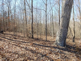0 Horseshoe Bend Rd Unit 916700, Goodview, VA 24095