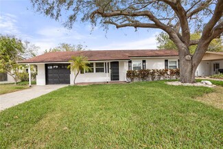 8611 Driftwood Dr, Tampa, FL 33615
