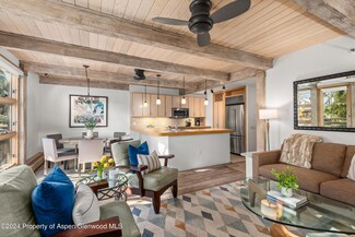600 E Main St Unit 406, Aspen, CO 81611