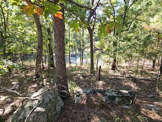 1573 SE 180th Rd, Talihina, OK 74571