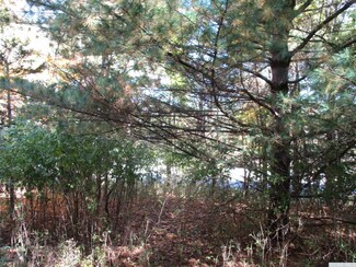 5791 New York 23, Acra, NY 12405