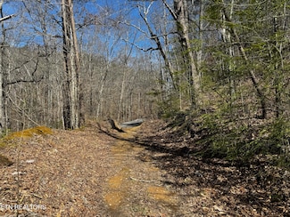 0 Melvin Hollow Rd Unit 1305423, Pioneer, TN 37847