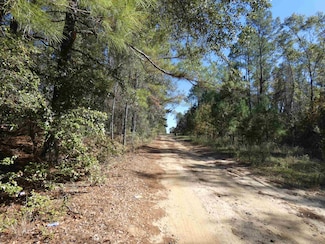 TBD E Meadow Rd, Monticello, FL 32344