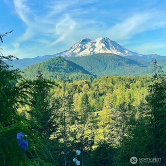 107 Emmons Dr, Mineral, WA 98355