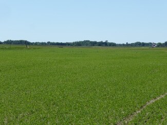 81 Chestnut Rd, Arpin, WI 54410