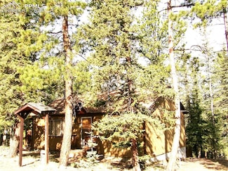 4071 Omer Ln, Divide, CO 80814