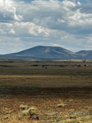 53C County Road 3373, Concho, AZ 85924