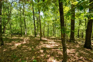 000 Wood Thrush Ln, North Linn Township, MO 65721