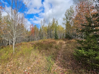 Map R09, Lot 12 Fox Run Dr, Mariaville, ME 04605