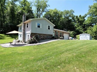 12165 Dupont Rd, Washington, WV 26181