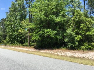 Lot 729 Village at Coopers Point, Townsend, GA 31331