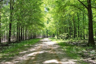 3694 County Road 115, Union Springs, AL 36089