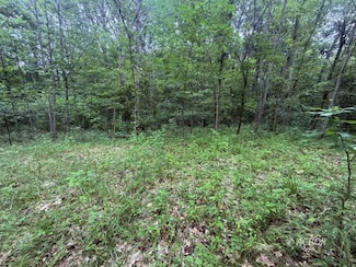 4103 N Rodehaver, Carthage Township, OH 45735