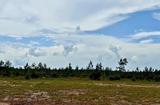 13110 Blackberry Dr, Lumberton, TX 77657