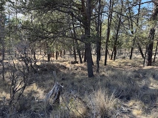 Lot 4 Aberden St Unit 4, Timberon, NM 88350