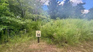 260 Running Bear Ln, Ellijay, GA 30536