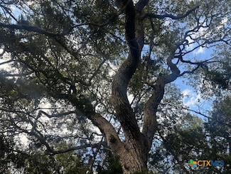 247 Longwood, New Braunfels, TX 78132