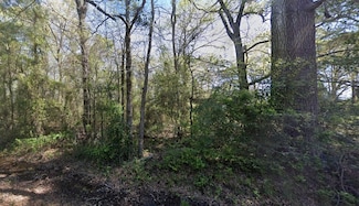 00 Calvin Liner Rd, Minden, LA 71055
