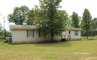 8823 Dickerson Lake Rd, Greenville, MI 48838