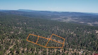 87/121/149/154 Engineer Point, Pagosa Springs, CO 81147