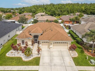 31725 Baymont Loop, Wesley Chapel, FL 33543