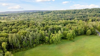 0 Ridge Rd, Oneida, NY 13421