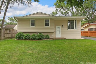 573 Maple Dr, Buffalo Grove, IL 60089