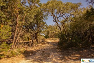 176 Rockwall Cir, Blanco, TX 78606