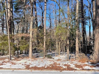 0 Glenwood Dr, Monticello, AR 71655