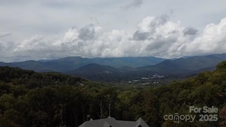 97 Settings Blvd, Black Mountain, NC 28711