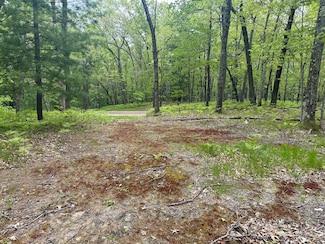 9846 W Oxpath, Baldwin, MI 49304