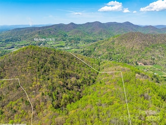 99999 Ox Creek Rd, Weaverville, NC 28787