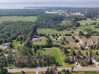 3547 Quick Rd, Harbor Springs, MI 49740
