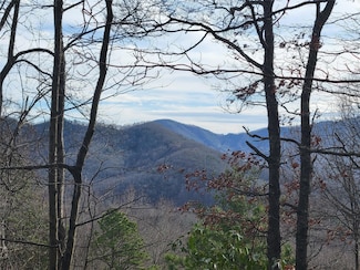 0000 Lookout Terrace Rd, Black Mountain, NC 28711