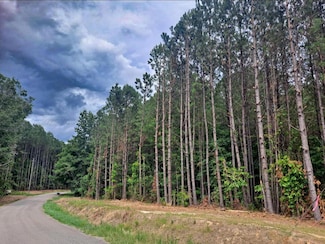 1197 2 Hill Rd, Nauvoo, AL 35578