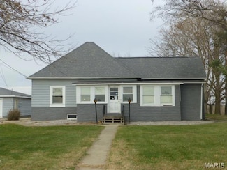 17095 N 17th Ave, Witt, IL 62094