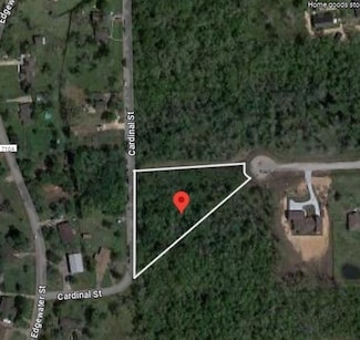 33235 Amberjack Dr, Richwood, TX 77515