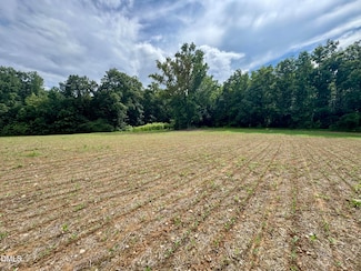 1001 Arthur Minnis Rd, Hillsborough, NC 27278