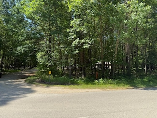 8995 Crestwood Ct Unit 518, Canadian Lakes, MI 49346