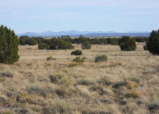 19 County Rd, Concho, AZ 85924