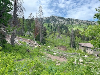 12176 E Big Cottonwood Canyon Rd, Brighton, UT 84121